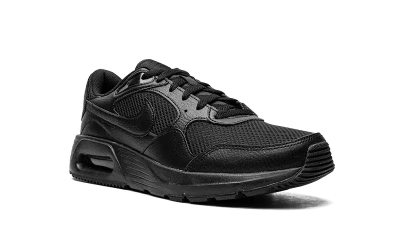 Nike Lifestyle Air Max SC 'Triple Black'